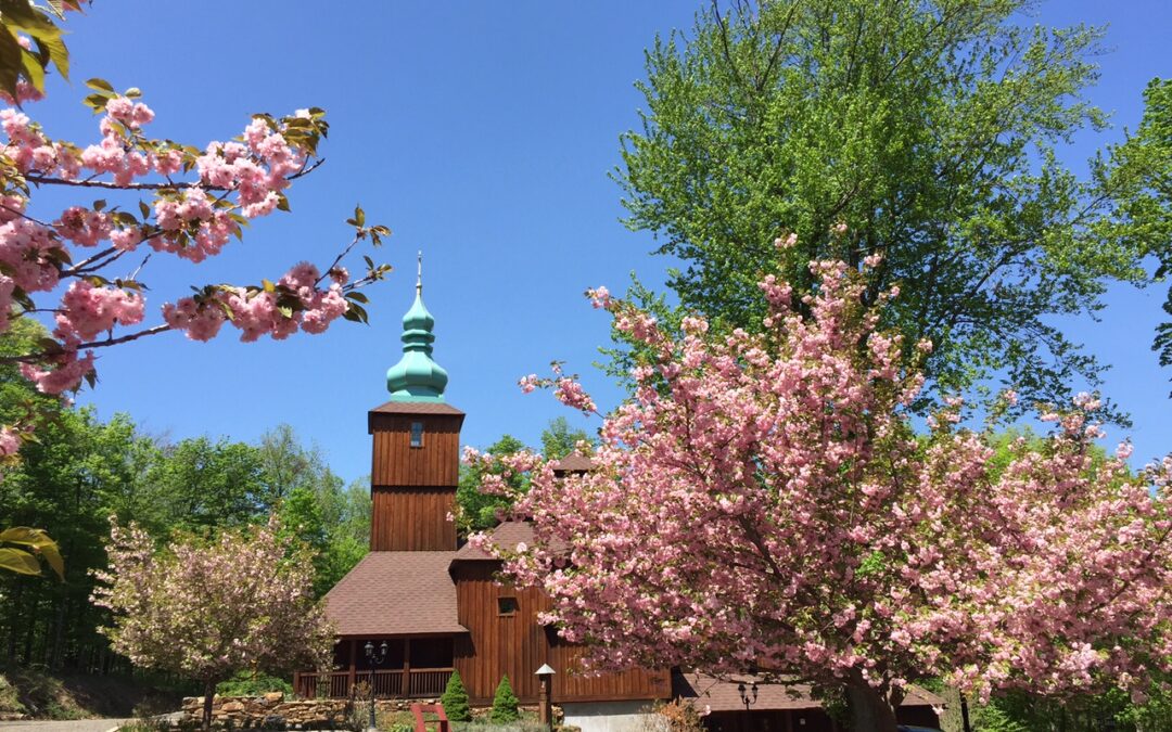 Schedule of Services and Events for the Week of May 11 – May 17, 2015