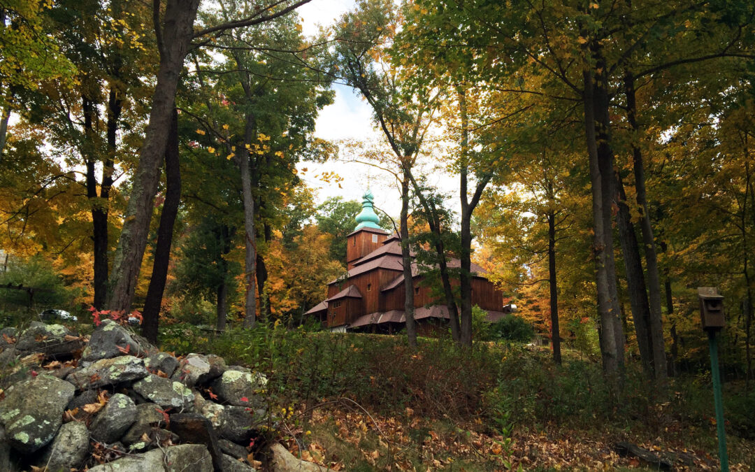 Schedule of Services and Events for November 15 – November 22