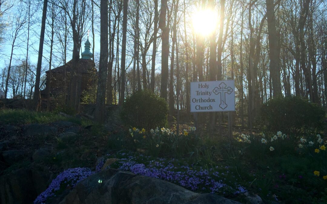 Schedule of Services and events for the week of April 24 – May 1